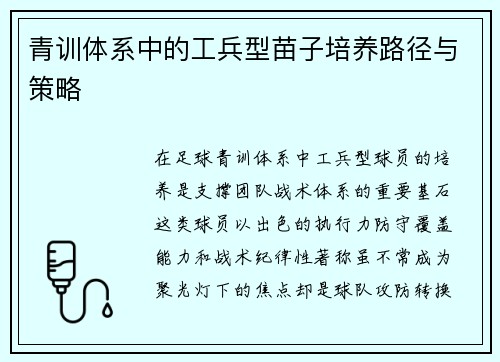 青训体系中的工兵型苗子培养路径与策略