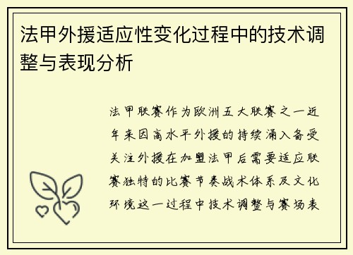 法甲外援适应性变化过程中的技术调整与表现分析
